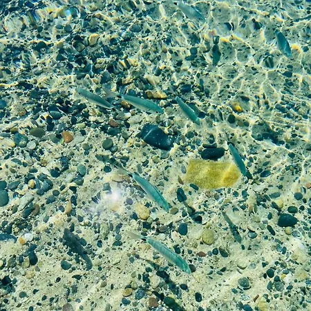 Romantica Panoramica 3* 빌라시미우스