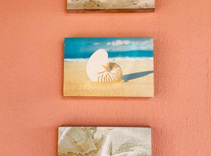 招待所 Romantica Panoramica 维拉西米乌斯