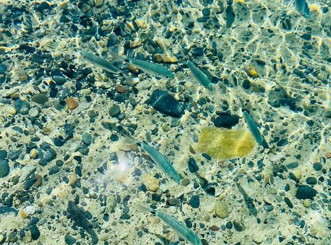 Romantica Panoramica 3* 维拉西米乌斯